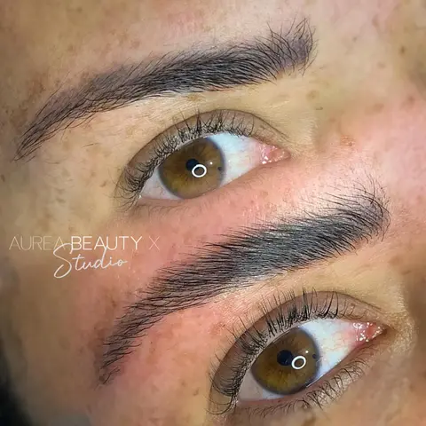 Alinhamento de Sobrancelhas — Resultado 3 | Aurea Beauty X Studio Barretos