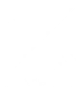 Aurea Beauty X